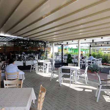 Fish Land دراس
